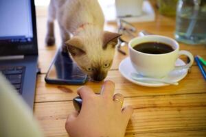 donne utilizzando il computer portatile Lavorando e bevanda caffè tazza caldo a casa foto