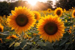 ai generato azienda agricola fiore sfondo astratto foto