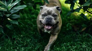 ai generato cane in esecuzione attraverso lussureggiante verde foresta foto