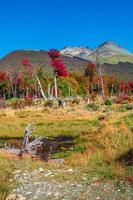 vista su magiche foreste australi, torbiere e alte montagne nel parco nazionale tierra del fuego, patagonia, argentina, autunno dorato e cielo blu foto