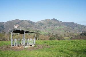 bellissimo paesaggio verde con le montagne sullo sfondo. luogo di ristoro per il bestiame. foto