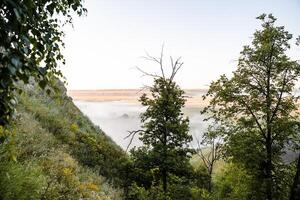 montagna Visualizza di nebbia nel il presto mattina, natura di Russia, nebbia sotto, viaggio nel natura, estate paesaggio, foresta e montagne foto