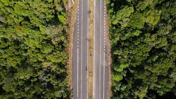 foresta doppio carreggiata, infrastruttura incontra natura foto