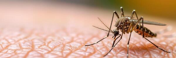 ai generato alimentazione zanzara su pelle vicino su foto