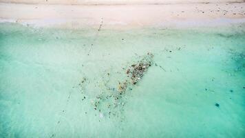 inquinata Paradiso, oceano conservazione crisi foto