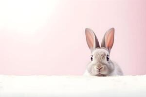 ai generato carino bianca coniglio su rosa sfondo con copia spazio. Pasqua concetto. foto