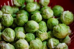 fresco verde Bruxelles germogli brassica oleracea a partire dal nostro proprio giardino foto