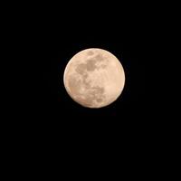 luna piena nel cielo scuro durante la notte, grande super luna nel cielo foto