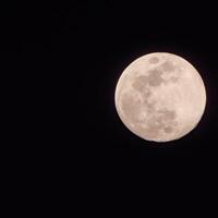 luna piena nel cielo scuro durante la notte, grande super luna nel cielo foto