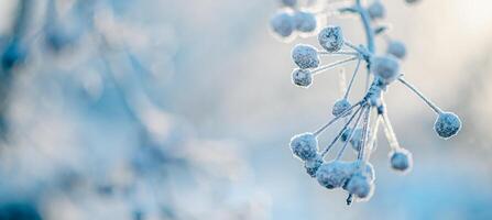 naturale inverno sfondo. congelato rami e foglie, tutti coperto nel neve foto