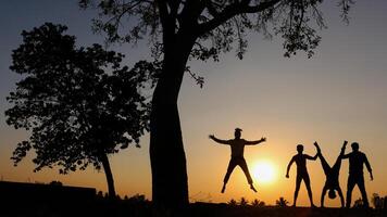 silhouette di amici in posa nel il bellissimo sera foto