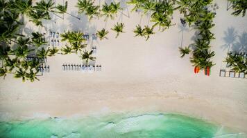 tropicale spiaggia ricorrere serenità aereo foto