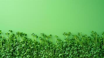 ai generato primavera vitalità, lussureggiante microgreens telaio foto
