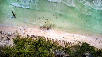 tropicale Paradiso aereo, palma spiaggia beatitudine foto