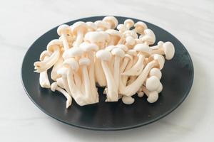 fungo bianco di faggio o fungo reishi bianco foto