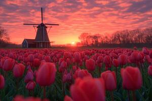 ai generato colorato tulipani contro un' classico olandese mulino a vento e lunatico, nuvoloso cielo. foto