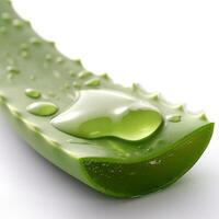 ai generato aloe Vera pianta con fresco verde le foglie e gocce, isolato su bianca sfondo, naturale rimedi a partire dal un' pianta concetto, generativo ai foto