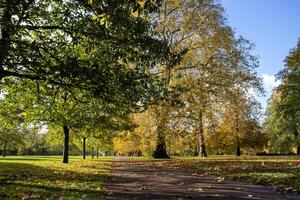 d'oro autunno baldacchino al di sopra di un' tranquillo, calmo sentiero nel hyde parco, Londra - un' quintessenza Britannico autunno scena foto