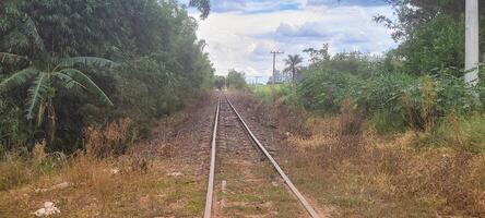 treno traccia nel il mezzo di natura su un' nuvoloso giorno foto