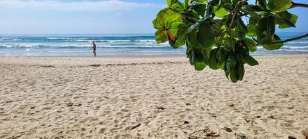 Immagine di spiaggia con bianca sabbia e calma mare su soleggiato giorno con bagnanti e surfers su il spiaggia foto