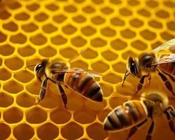 ai generato ape siamo Lavorando su Favo. Due api su un' Favo con miele nel il sfondo foto