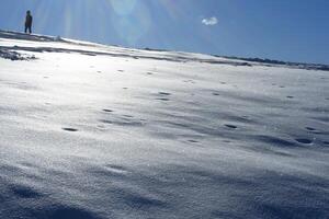 un' persona in piedi su un' Snowboard su un' nevoso collina foto