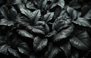 ai generato nero tropicale le foglie su nero sfondo. foto