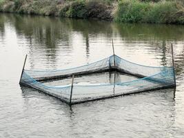 pesca netto su il fiume banca foto