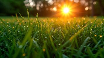 ai generato sole splendente attraverso alberi nel erba foto