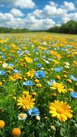 ai generato campo con giallo e blu fiori foto