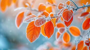 ai generato in ritardo autunno rivela un' bellissimo scena con luminosa arancia le foglie coperto nel brina, ai generato. foto