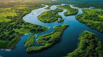 ai generato aereo vista rivela un' lussureggiante fiume delta con verdeggiante vegetazione e serpeggiante corsi d'acqua, ai generato foto