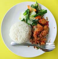 indonesiano pranzo menù. pollo riso e Saltato in padella verdure foto
