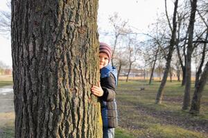 poco ragazzo è nascondiglio dietro a un' grande albero. un' bambino sbircia su a partire dal dietro a un' albero tronco. foto