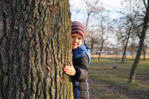 poco ragazzo è nascondiglio dietro a un' grande albero. un' bambino sbircia su a partire dal dietro a un' albero tronco. foto