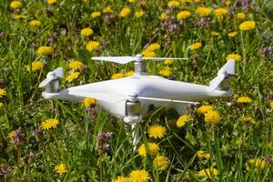 Quadrocopter dji fantasma 4 è su un' radura con dente di leone fiori. foto