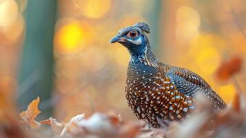 ai generato autunnale brillantezza. maestoso fagiano tra caduto le foglie foto