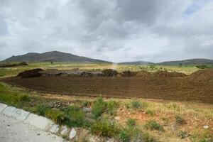 emorroidi di letame nel campo. mucca e cavallo letame con terra. foto