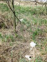 scartato borse con fertilizzante concentrato. inquinamento di il ambiente di pesticidi. foto