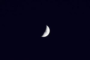 il Luna nel il notte cielo foto