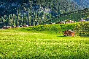 Case di legno a Steg, Malbun, nel Liechtenstein, in Europa foto