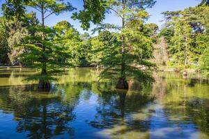 retiro parco parque del bene retiro nel Madrid, Spagna foto