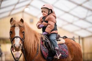 poco bambino equitazione lezione. tre anni ragazza cavalcate un' pony e fa esercizi foto