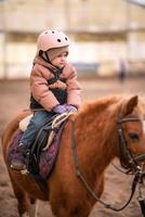 poco bambino equitazione lezione. tre anni ragazza cavalcate un' pony e fa esercizi. alto qualità foto