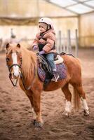 poco bambino equitazione lezione. tre anni ragazza cavalcate un' pony e fa esercizi. alto qualità foto