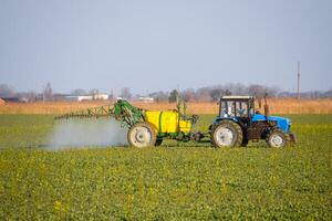 trattore fertilizza un' canola campo, spruzzatura fertilizzante con un' trattore. foto