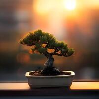 ai generato Bonsai albero nel un' minimalista pianta della casa pentola foto