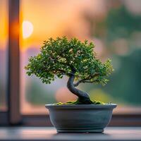 ai generato Bonsai albero nel un' minimalista pianta della casa pentola foto