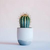 ai generato cactus nel un' minimalista pianta della casa pentola foto