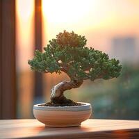 ai generato Bonsai albero nel un' minimalista pianta della casa pentola foto